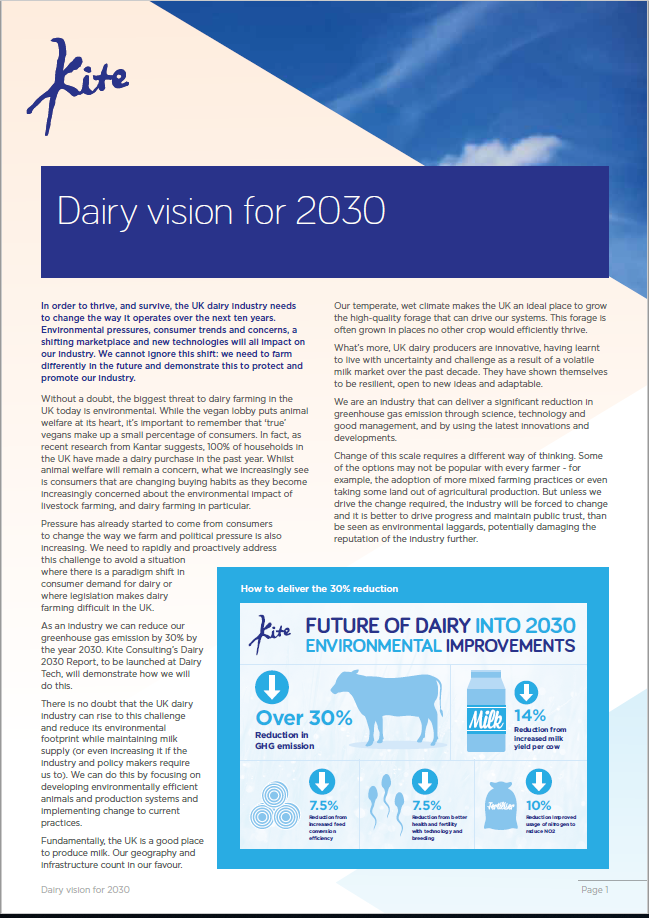 Vision for Dairy 2030 Kite Consulting